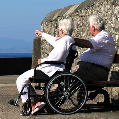 Social Enterprise, Voluntary and CSO Social Enterprise, Voluntary and CSO