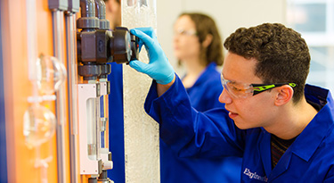 Undergraduate Courses