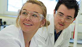 Justo Elit Egestas Malesuada Cras