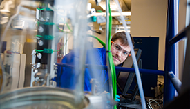 Venenatis Risus Commodo