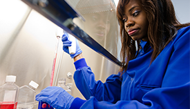 Curabitur blandit tempus porttitor.