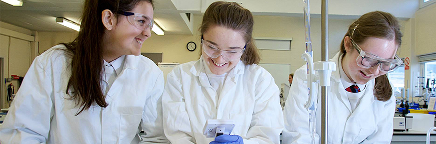 Working with Schools 