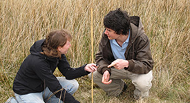 Students carrying out fieldwork