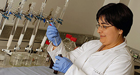 LEC researcher at work