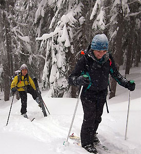Skiing in North America during a study abroad year