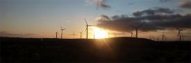 Windfarm skyline