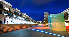 Venenatis Risus Commodo