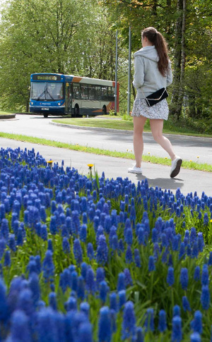 Cras mattis consectetur purus sit amet fermentum.