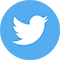 twitter social icon